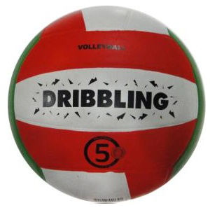 Balon Voleibol DRB Goma Bicolor